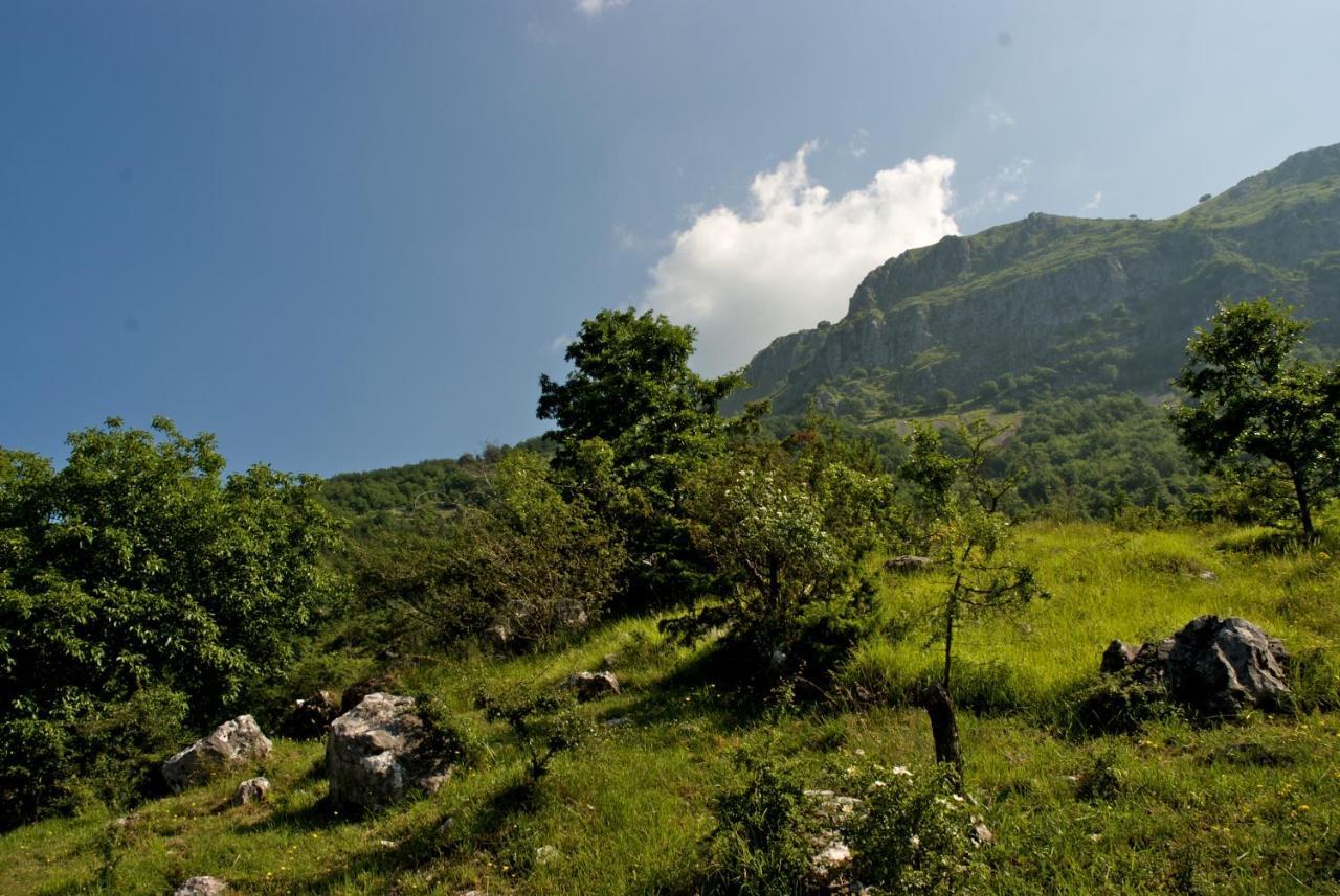 Vila Alpeggio Pruno Corfino Exteriér fotografie